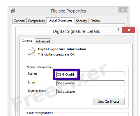 Screenshot of the CSM GmbH certificate